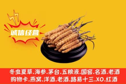 金华市回收冬虫夏草